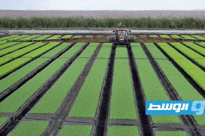 الاتحاد الأوروبي يعتزم دعم المزارعين المتضرّرين من ارتفاع أسعار الأسمدة بـ300 مليون يورو