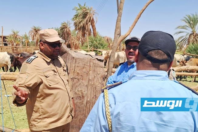 Al-Jawf Municipality Temporarily Closes Sheep Farms to Curb the Spread of Foot-and-Mouth Disease